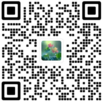 计量经济学报杂志模板